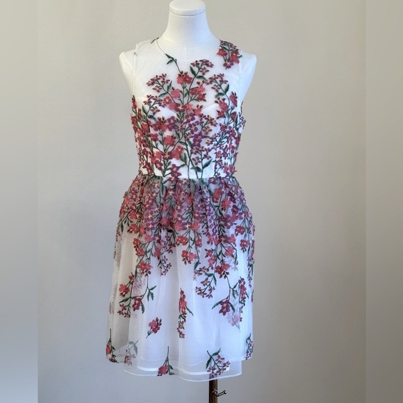 BCBG MaxAzria Gardenia Embroidered Tule Sleeveless Round Neck Dress Size 4 - Picture 5 of 9